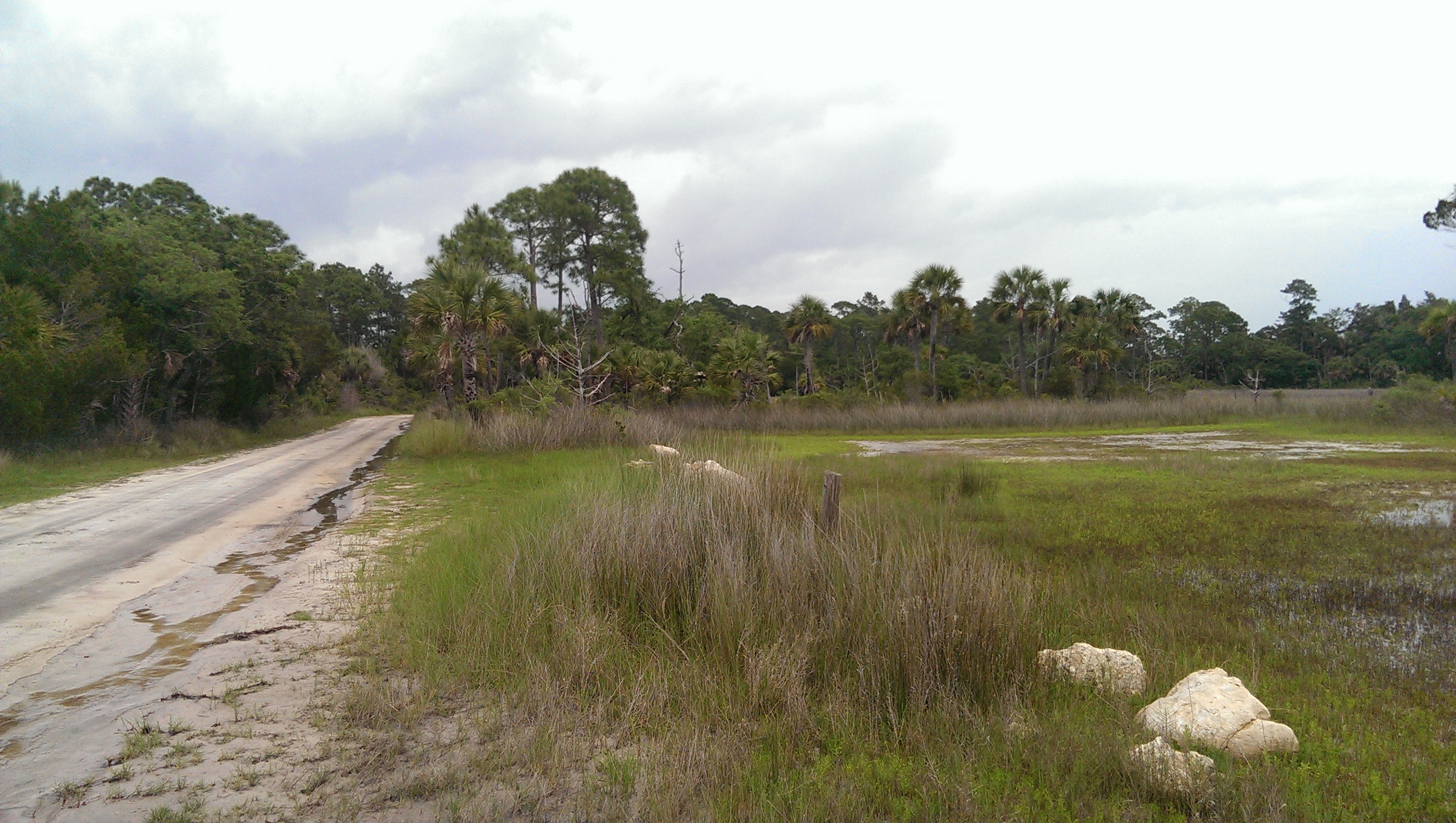 Wakulla Springs: Old road leading to the Gulf of Mexico