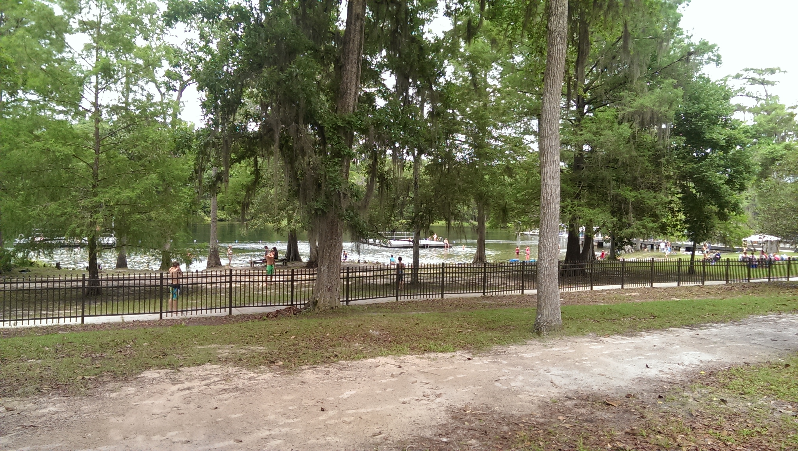 Wakulla Springs spring photo 1