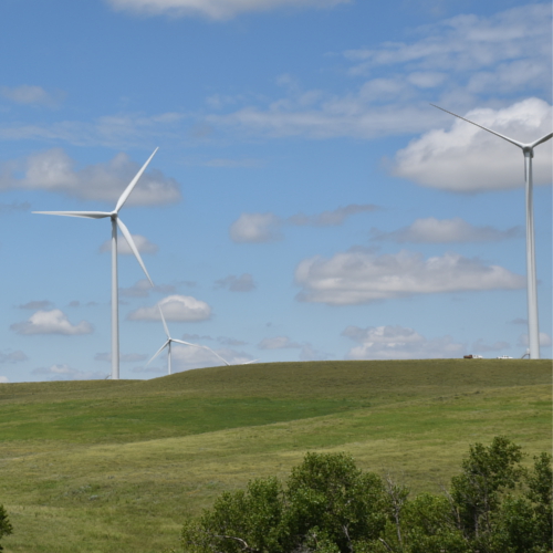 Photo of Kansas windmill farm and flowing green plains.